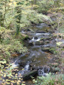 la rivière d'argent