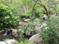 La rivi&egrave;re Guadalmesi