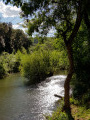 Les Arcs-sur-Argens - L'Apié de Raybaud