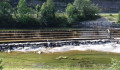 La rivière "la Bienne"