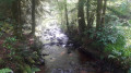 La rivière
