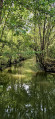 Le Marais Sauvage entre Damvix et la Rivière