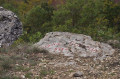 La Roche Pompon