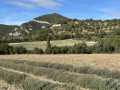 La Roche-Saint-Secret par la Combe du Four et le Col de la Ruche