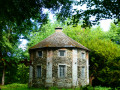 Dans le Bois de Baudour