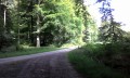 La route du Fourchet d'Orival à la route du Grand Maître, forêt d'Eawy