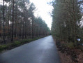 La Route du lieu-dit La Colonie à Mesle