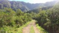 La Route Forestière des Goyaves