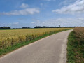 La rue des Houssayes