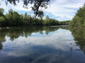 Bois de Sainte-Assise côté Seine