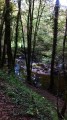 La Saint Bonnette