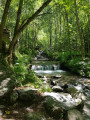 La sarenne