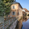 La Sauer