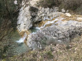 La Sauve