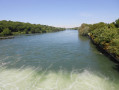 La Seine rive gauche