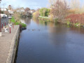 Entre la Sèvre Niortaise et le marais à Magné