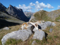 Le Col de la Vanoise par l'Arcellin