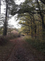 La Sologne sauvage