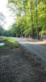 Sortie de la forêt