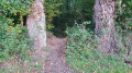 La sortie du chemin de halage pour revenir dans le sous bois La sortie du chemin de halage pour revenir dans le sous bois