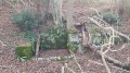 La source-abreuvoir du Montagnou
