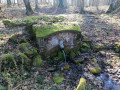 La source de Blanche Fontaine