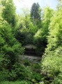 La Source de la Reverotte