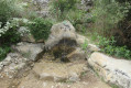 La source des Ouides