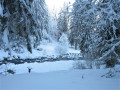 La source du Doubs