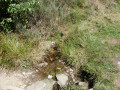 la source du Lot