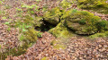 La source du Weinberg