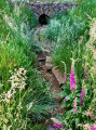 Sources de la Vienne Sources de la Vienne