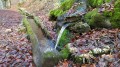 la source