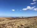 Entre forêts et hautes chaumes du Forez