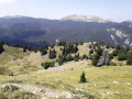 La Combe de l'If depuis le Charmant Som La Combe de l'If depuis le Charmant Som
