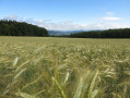 La Tête de Nayemont