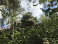La tete de singe