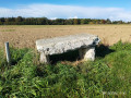 La Tombe du Druide au départ d'Alizay