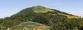 La Tour des Poignets, entre lande et forêt