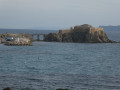 La Tour Fondue sur la Presqu'île de Giens