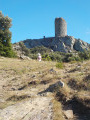 La Tour de la Massane depuis La Vall