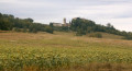 Le Chemin de Saint-Guiraud