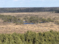 La tourbi&egrave;re de Tolkuse depuis la tour d'observation