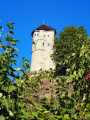 Le château de Belvoir et les Hautes Roches