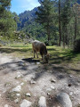 Les Bergeries de Riviseccu (Rivisecco) Les Bergeries de Riviseccu (Rivisecco)