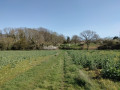 La vall&eacute;e de Bellevue