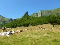 Parc des volcans d'Auvergne - Massif du Sancy-Puy de Sancy-Chambon sur Lac