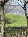 La vallée de la brume