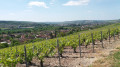 La vallée de la Marne