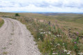 La Vallée de la Sianne